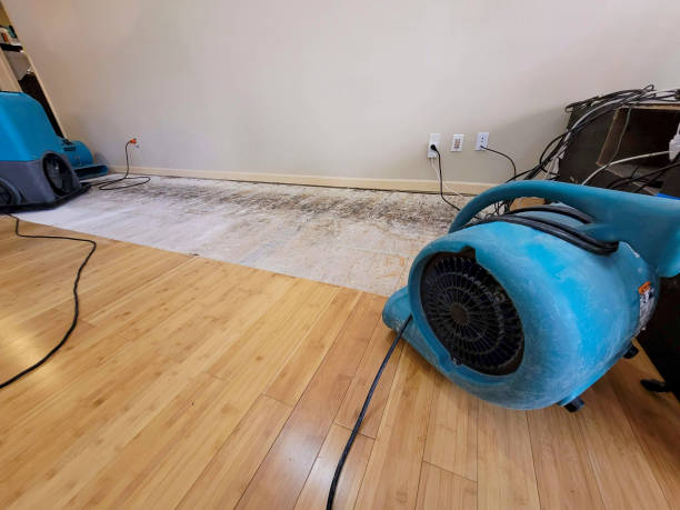 Professional Water Removal technician working in Pacolet Mills, SC